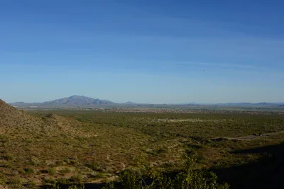 DSC_1847 (Large).JPG